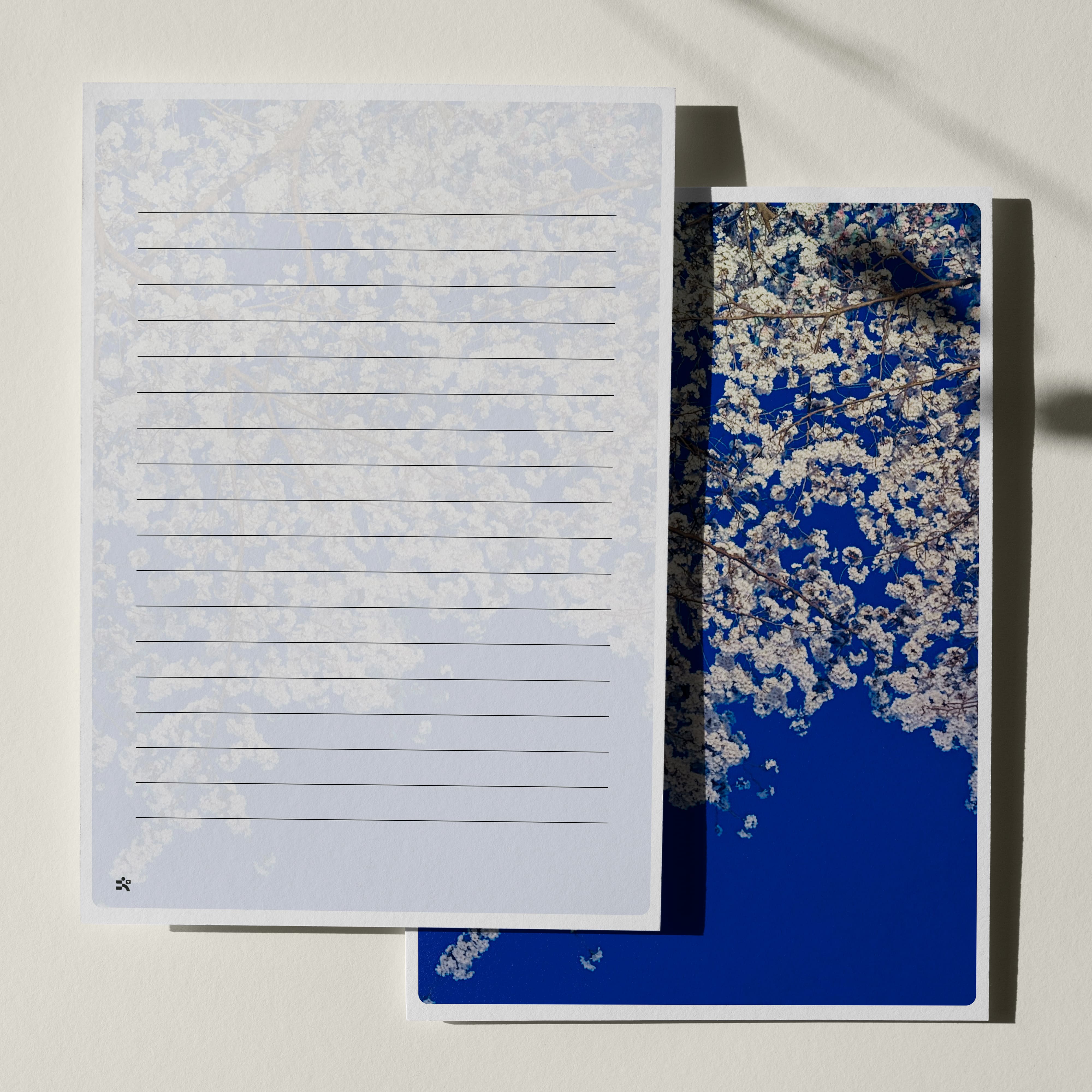 우체톡 편지지 테마 : 4월 의 벚꽃 (뒷면)
