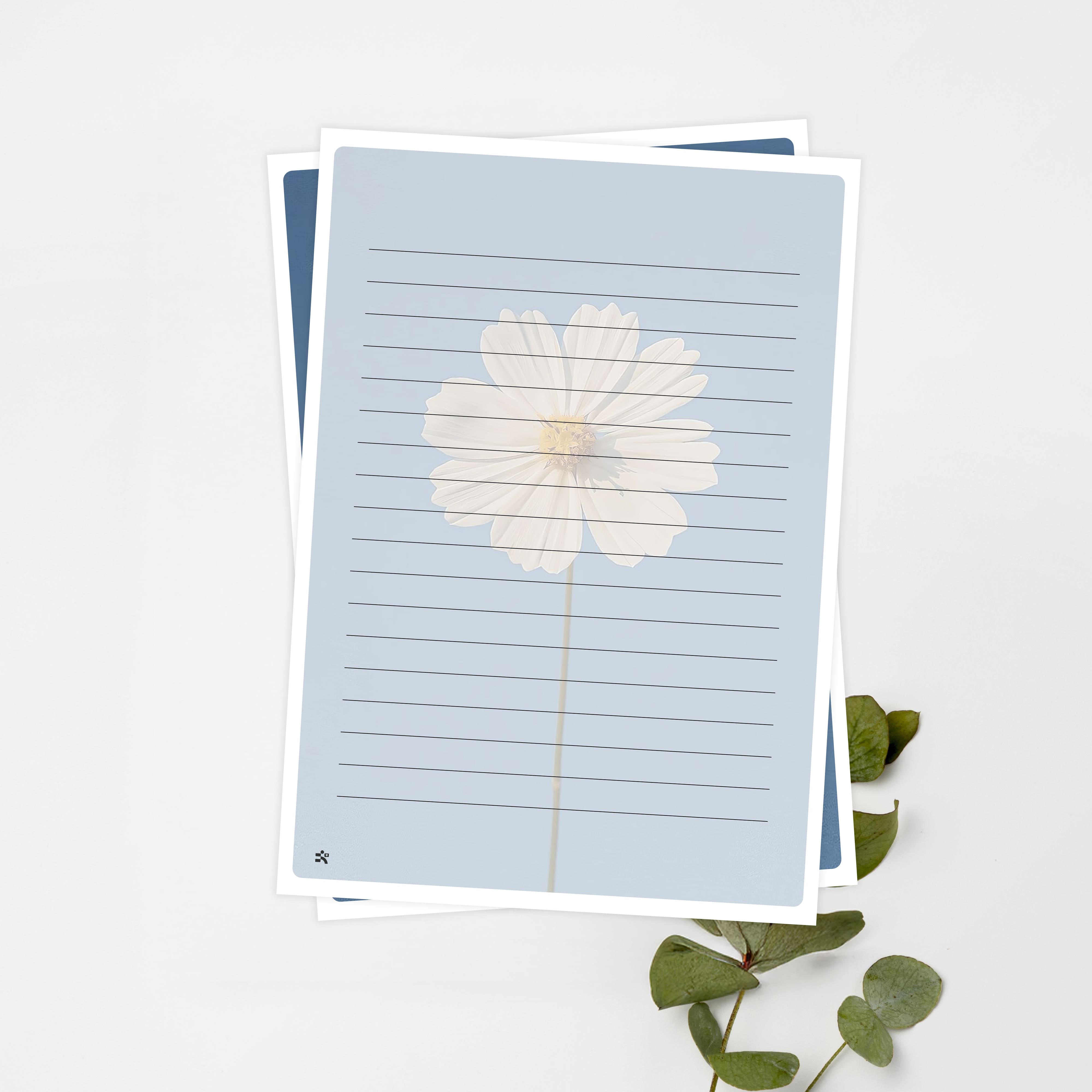 우체톡 편지지 테마 : 화이트 코스모스 (White Cosmos) (뒷면)