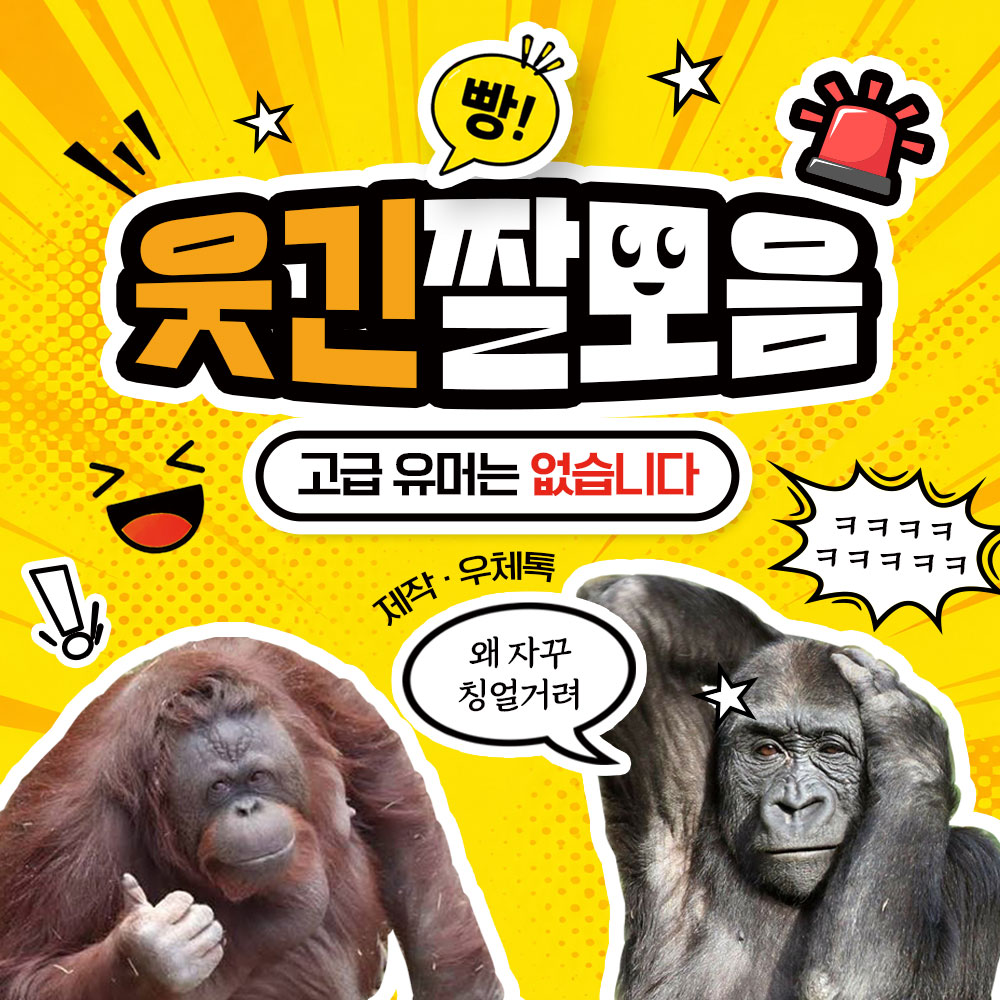 웃긴 짤 모음 1탄 썸네일